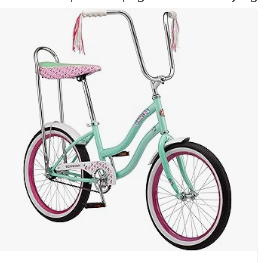 Baby Bicycles - Schwinn Hazel Kids Bike, For Girls and Boys Ages 7 and Up, 20-Inch Wheels, Single Speed, Thinner Grips