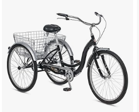 Schwinn- Meridian 